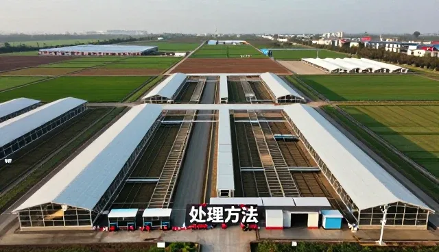 包装配送在批量生产中的性能表现与适用场景分析
